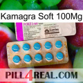 Kamagra Soft 100Mg new07